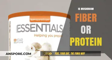 Mushroom Mystery: Fiber or Protein?