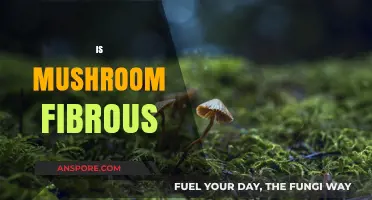 Mushroom Mystery: Are They Fibrous Fungi?