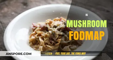 Mushroom Mystery: Are They FODMAP Friendly?