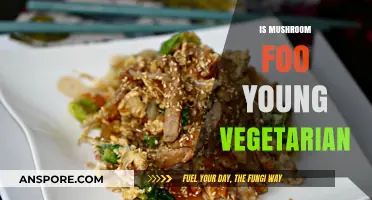 Mushroom Foo Young: A Vegetarian's Delight or Disaster?