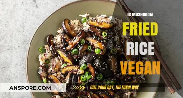 Vegan Fried Rice: Is Mushroom a Meat Substitute?