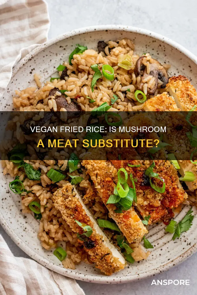 is mushroom fried rice vegan