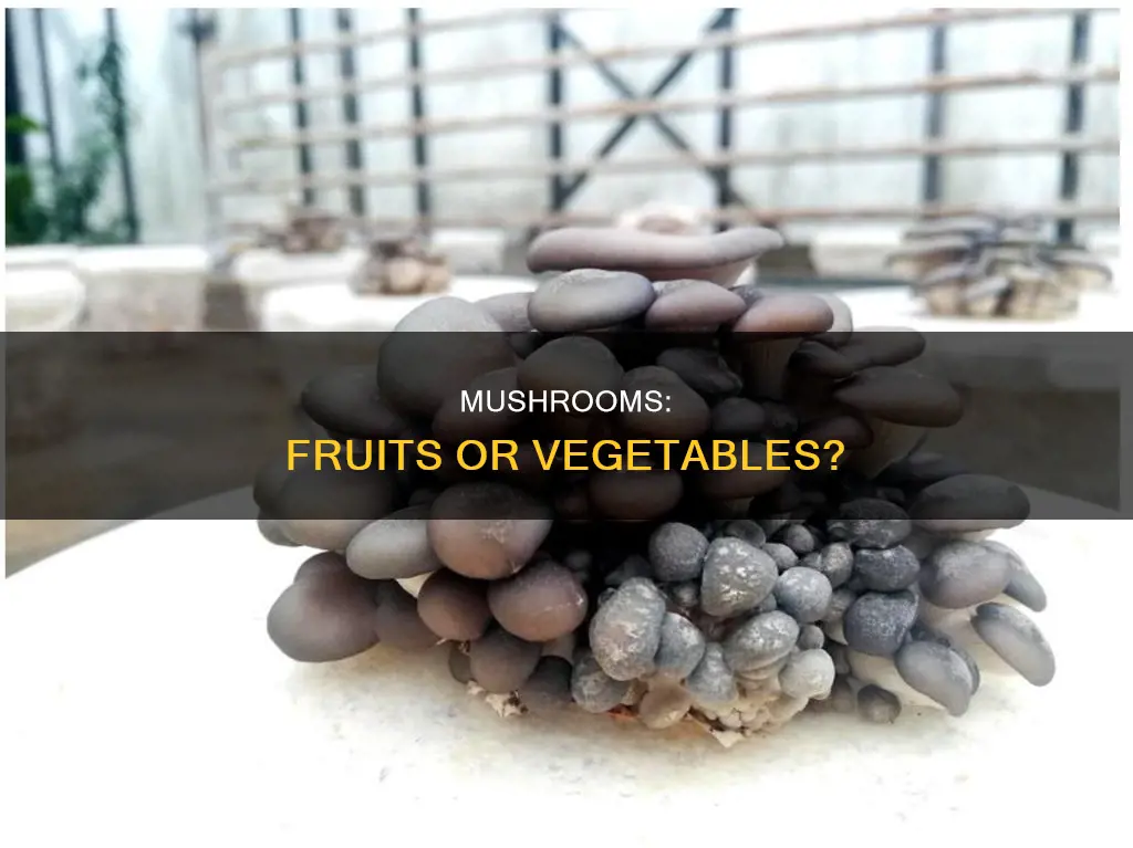 is mushroom fruit