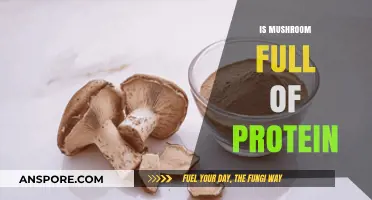 Mushroom Protein Power: How Much Is There?