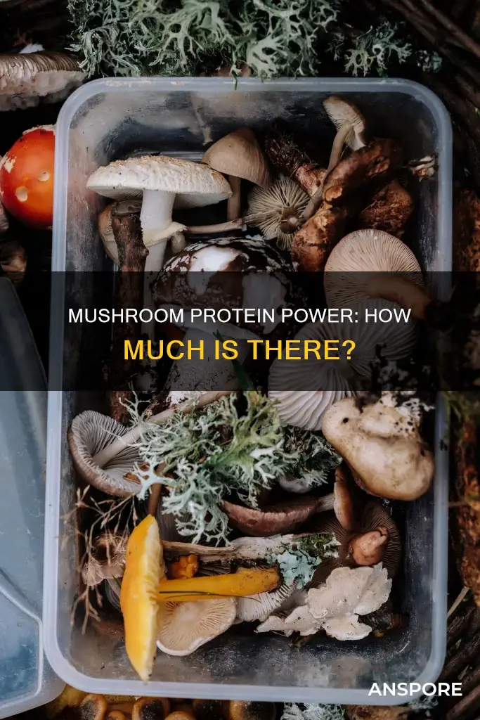 is mushroom full of protein