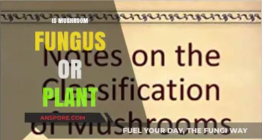 Mushrooms: Fungus or Plant?