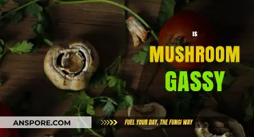Mushrooms and Gas: What's the Connection?
