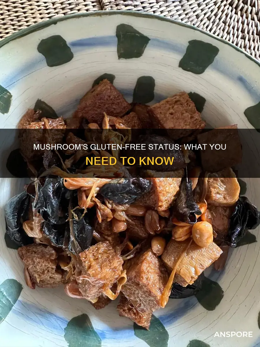 is mushroom gluten free