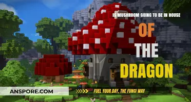 Will Mushroom Appear in House of the Dragon? Theories Explored