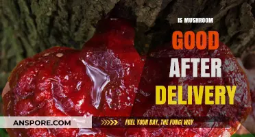 Mushrooms Postpartum: Nutritional Benefits and Safety After Childbirth Explained