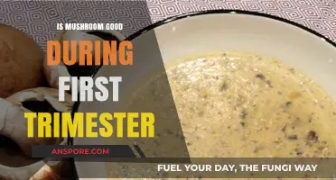 Mushrooms in Pregnancy: Safe or Risky During First Trimester?