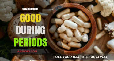 Mushrooms and Menstruation: Benefits, Myths, and Period-Friendly Nutrition Tips