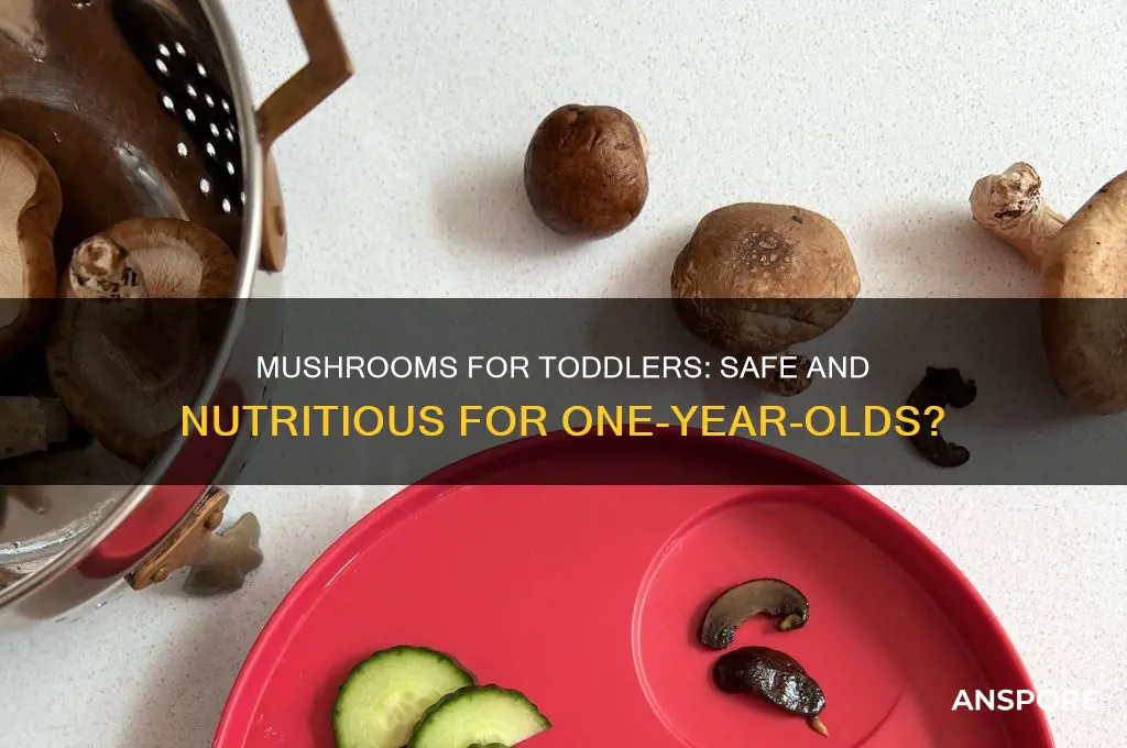 is mushroom good for 1 year old baby
