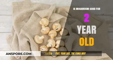 Mushroom Benefits for Toddlers: Safe and Nutritious for 2-Year-Olds?