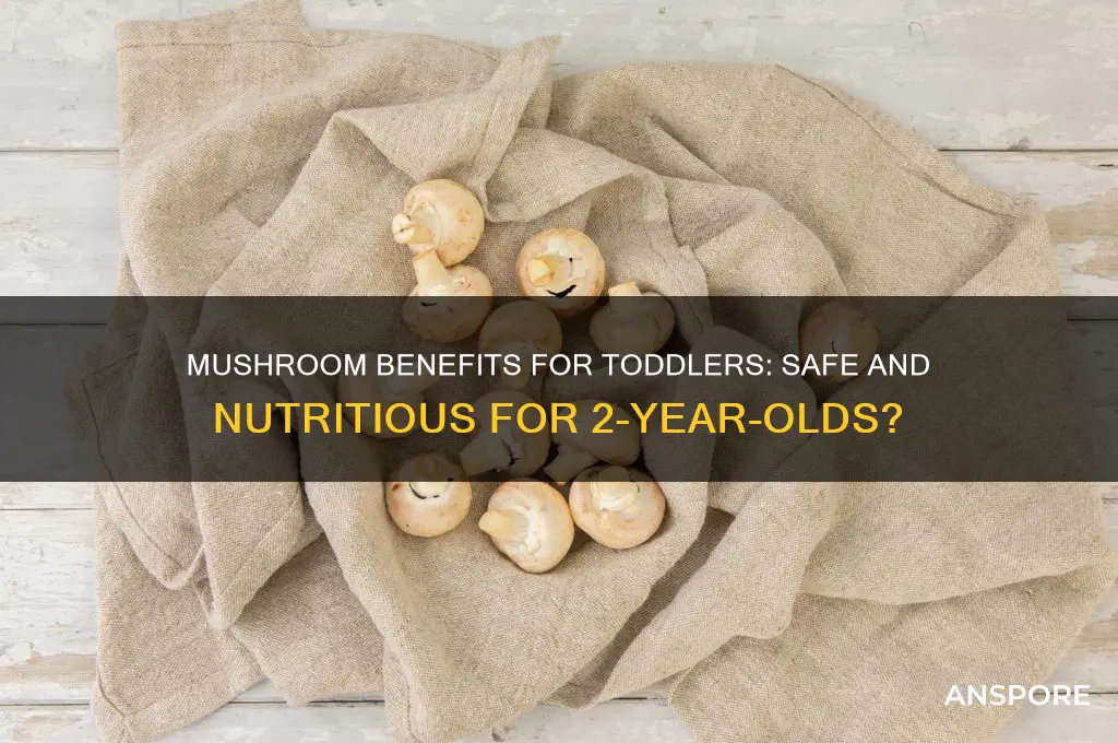 is mushroom good for 2 year old