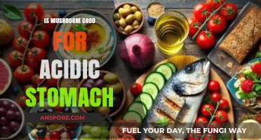 Mushrooms and Acidic Stomach: Benefits, Risks, and Best Practices