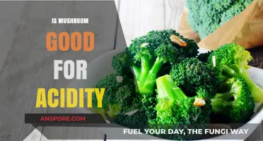 Mushrooms and Acidity: Are They a Tummy-Friendly Food Choice?