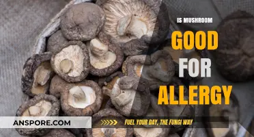 Mushrooms and Allergies: Unveiling Their Potential Benefits and Risks