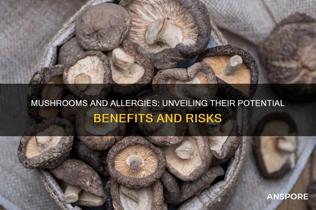 is mushroom good for allergy
