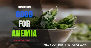 Mushrooms and Anemia: Unlocking Iron-Rich Benefits for Better Health