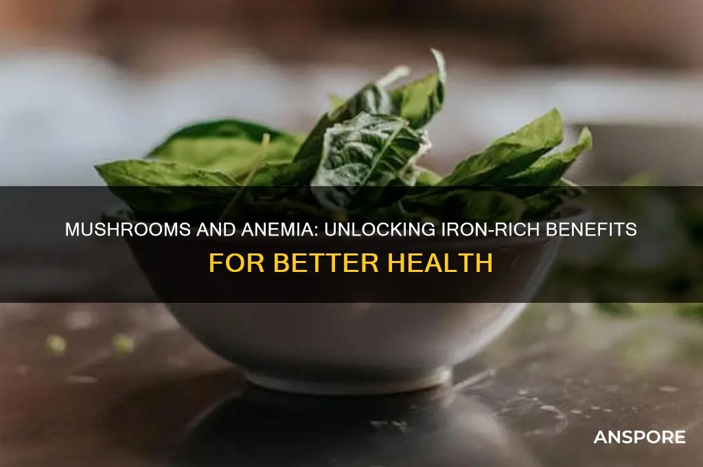 is mushroom good for anemia