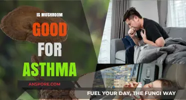 Mushrooms and Asthma: Unveiling the Surprising Respiratory Health Benefits