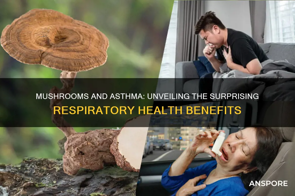 is mushroom good for asthma