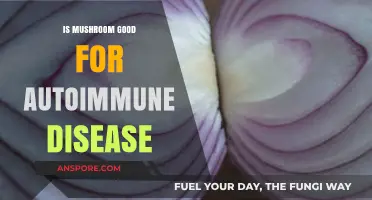 Mushrooms and Autoimmune Health: Benefits, Risks, and Evidence Explored