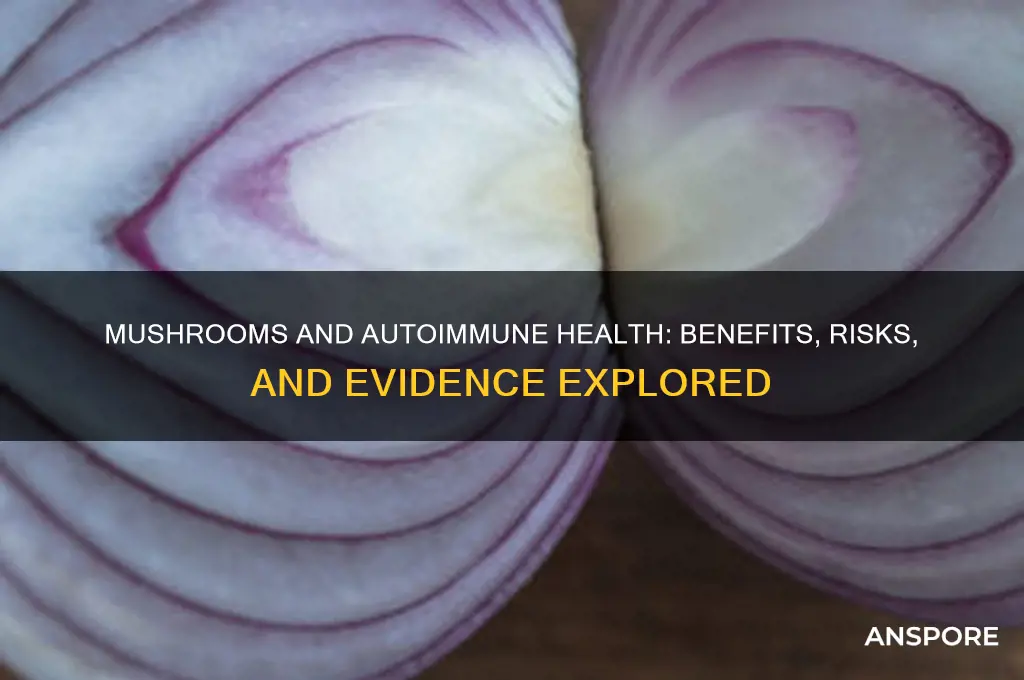 is mushroom good for autoimmune disease