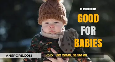 Mushrooms for Babies: Safe, Nutritious, or Best Avoided?