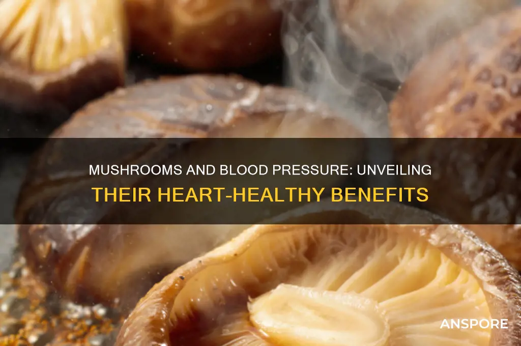is mushroom good for blood pressure
