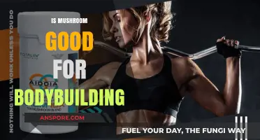 Mushrooms for Bodybuilding: Benefits, Nutrition, and Muscle-Building Potential