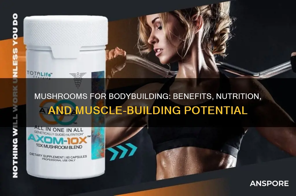 is mushroom good for bodybuilding