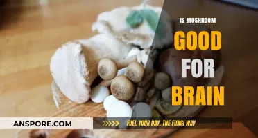 Mushrooms and Brain Health: Unlocking Cognitive Benefits and Potential