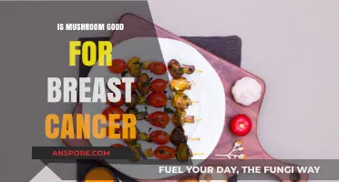 Mushrooms and Breast Cancer: Unveiling Potential Benefits and Research Insights