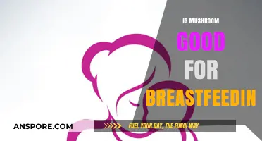 Mushrooms and Breastfeeding: Benefits, Safety, and Nutritional Value Explained