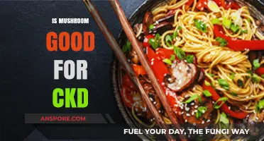 Mushrooms and CKD: Benefits, Risks, and Dietary Considerations Explained