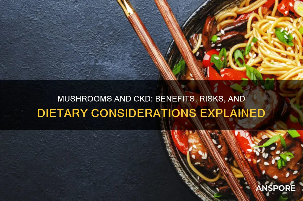 is mushroom good for ckd