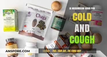 Mushrooms for Cold and Cough: Natural Remedy or Myth?