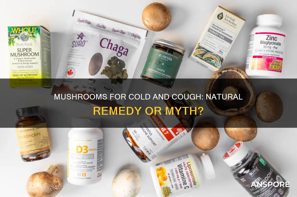 is mushroom good for cold and cough