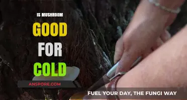 Mushrooms and Cold Relief: Unlocking Nature's Immune-Boosting Benefits