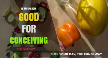 Mushrooms and Fertility: Can They Boost Conception Chances?