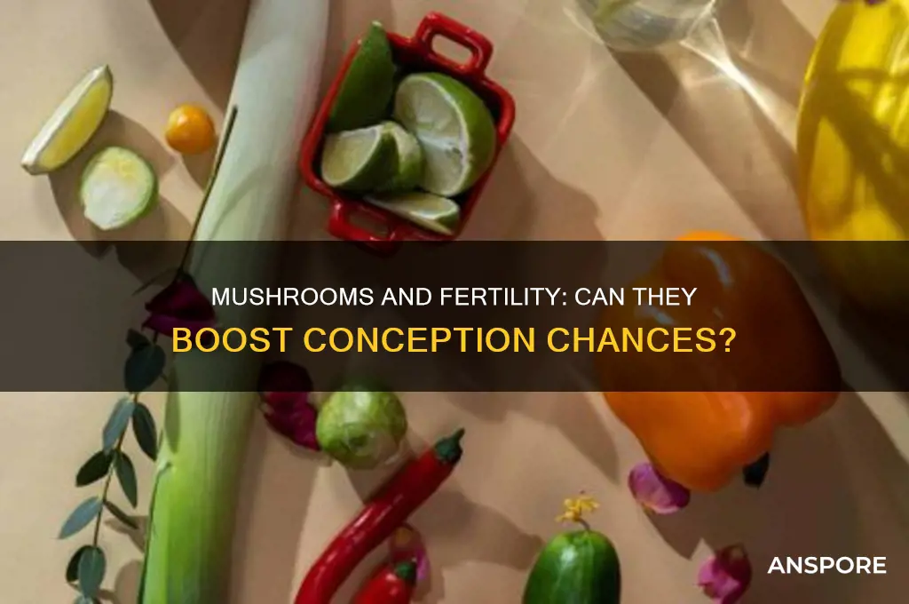 is mushroom good for conceiving