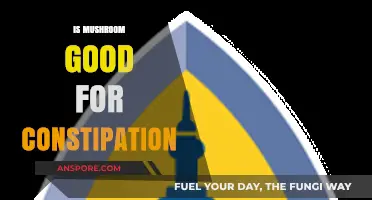 Mushrooms for Constipation Relief: Benefits, Types, and How to Use