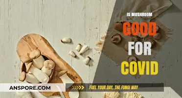 Mushrooms and COVID-19: Exploring Potential Benefits and Immune Support