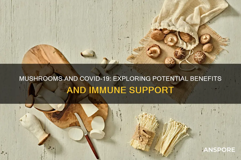 is mushroom good for covid
