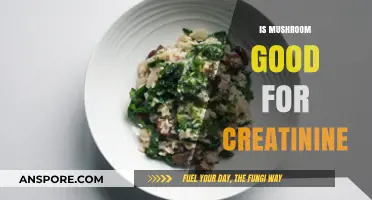 Mushrooms and Creatinine: Unveiling the Health Benefits and Risks