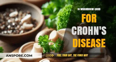 Mushrooms and Crohn's Disease: Potential Benefits and Risks Explored