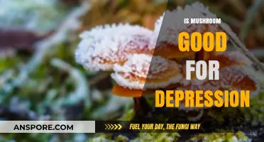 Mushrooms and Mental Health: Can Fungi Fight Depression Naturally?