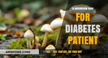 Mushrooms and Diabetes: Benefits, Risks, and Dietary Tips for Patients